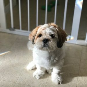 Meet your Posher, Kate